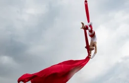 студия воздушной гимнастики danceup изображение 2 на проекте lovefit.ru